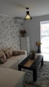 Apartament Razvan - 萨图恩