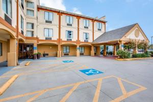 Comfort Inn & Suites Love Field-Dallas Market Center