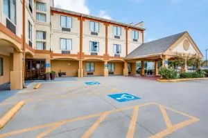 Comfort Inn & Suites Love Field-Dallas Market Center - Dallas