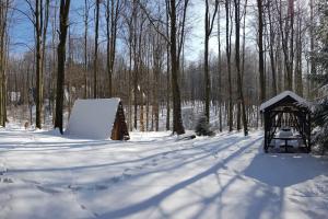 Slovak cottage near Bratislava in the heart of the Carpathians