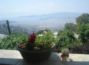 Traditional House Makrinitsa Pelion Greece