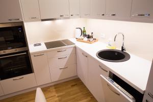 Antakalnis 5 stars apartment