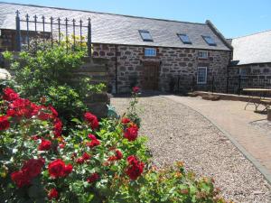 One-Bedroom Cottage with Sea View room in Mill Of Nethermill Holidays