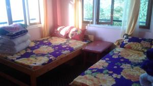 Ashis Homestay