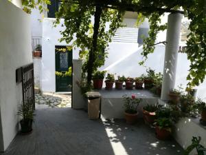 Manu's (Great GrandMother's) House Skyros Greece