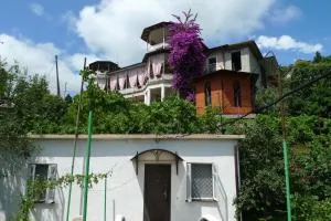 Old Town Guesthouse - Khasaut-Grecheskoye