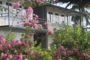 Thạch Thảo Homestay