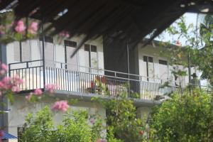 Thạch Thảo Homestay