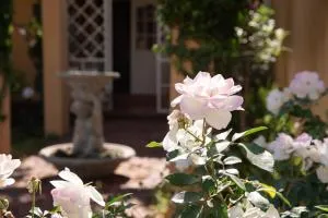 Roses and Pebbles B & B Guest House - Klerksdorp
