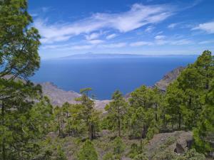 Comfy on the beach By CanariasGetaway