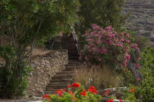 Elayio Houses Tinos Greece