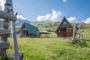 Apartmán Forest fruit Berane Černá Hora