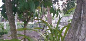 Otoch Béek Calakmul