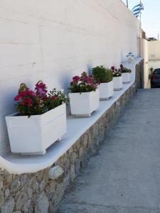 Mykonos Pro-care Suites Myconos Greece