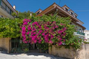 Vallia's Apartments Zakynthos Greece