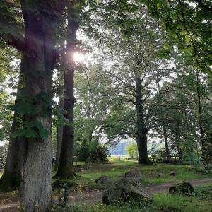 Pension Im Rehwinkel