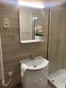 Kirschbaum Apartment