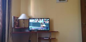 Exclusive HORTENSIEI