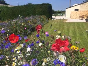 Maisons de vacances Ferme de Riou : photos des chambres