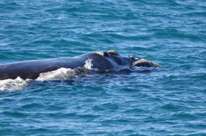 Zeezicht Guest House