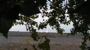 Alloggio Turistico Isonzo - Bracciano (Roma)