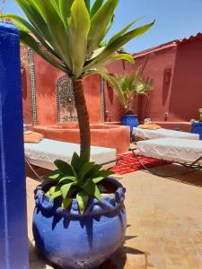 Riad Dar Colline