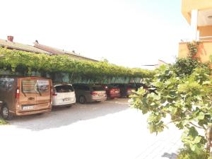 Apartmani 