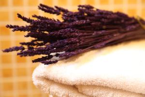 El Porxo de Can Baixeres PB-00318