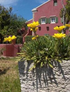 Villa De Loulia Corfu Greece