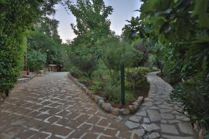 Mountain Breeze Lodge & Resort