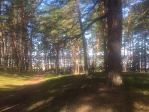 Domek Sea breeze Sunset discovery loft Saulkrasti Łotwa
