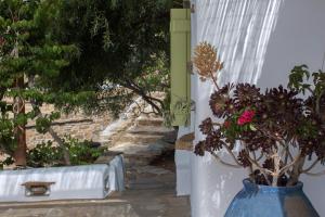 Elayio Houses Tinos Greece