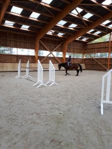 Maisons de vacances gite du haras de vales : photos des chambres