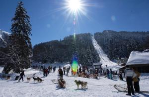 Hotels Logis Hotel Le Central : photos des chambres
