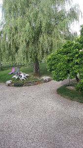 B&B / Chambres d'hotes La PASTORALE : photos des chambres