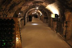 Maisons de vacances Gite Enjoy En Champagne au milieu des vignes : photos des chambres