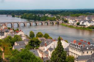 Hotels Hotel Mileade Le Domaine de la Blairie - Saumur : photos des chambres