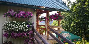 Koliba Pčelica 1-SPA