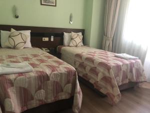 Standard Twin Room room in Hivas Hotel