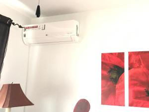 El Bosque, tu entrada a la Sierra Gaditana.