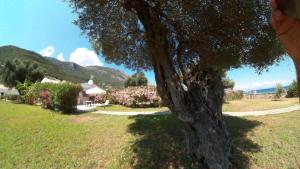 Barbati Beach Holiday Apartment Corfu Greece