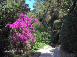 Residence Casa Di Caccia