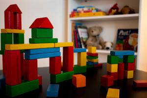 Bright loft near Bohinj lake 