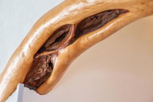 Villa Maddalena img25