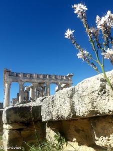 PERDIKA STONEHOUSE Aegina Greece