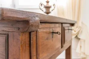 B&B Botanical Boutique - Gorgo