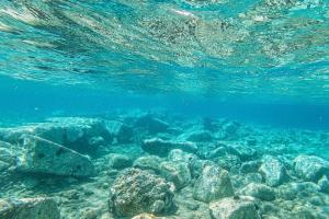 Assos Kervansaray Hotel - Special Category