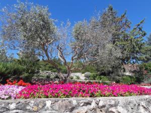 Adrijela Mobile Home