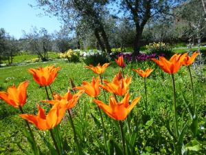 Via San Cresci 31-32, Greve in Chianti, 50022, Tuscany, Italy.