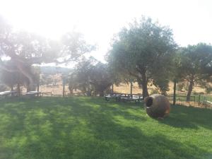 Casas da Faia - Nature Guest House